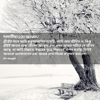 Picture 02 - গালাতীয়া 2:20 BENIRV - খ্রীষ্টের সাথে - Bible Verse Picture