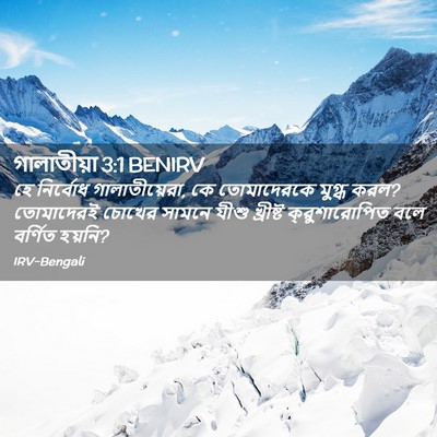 Picture 02 - গালাতীয়া 3:1 BENIRV - হে নির্বোধ - Bible Verse Picture
