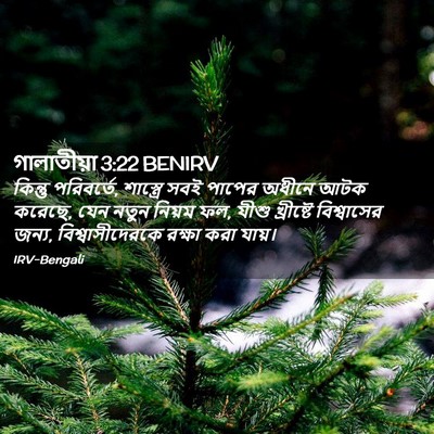 Picture 02 - গালাতীয়া 3:22 BENIRV - কিন্তু পরিবর্তে, - Bible Verse Picture
