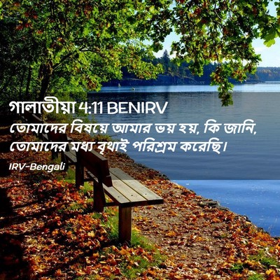 Picture 02 - গালাতীয়া 4:11 BENIRV - তোমাদের বিষয়ে - Bible Verse Picture