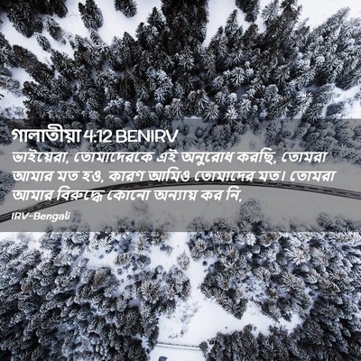 Picture 02 - গালাতীয়া 4:12 BENIRV - ভাইয়েরা, - Bible Verse Picture