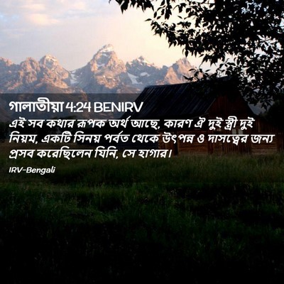 Picture 02 - গালাতীয়া 4:24 BENIRV - এই সব কথার রূপক - Bible Verse Picture