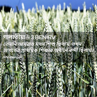 Picture 02 - গালাতীয়া 4:3 BENIRV - তেমনি আমরাও যখন - Bible Verse Picture