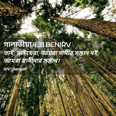 Picture 02 - গালাতীয়া 4:31 BENIRV - তাই, ভাইয়েরা, আমরা - Bible Verse Picture