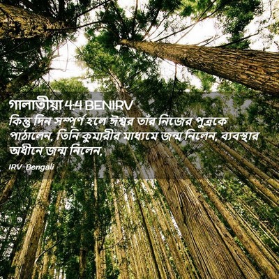 Picture 02 - গালাতীয়া 4:4 BENIRV - কিন্তু দিন - Bible Verse Picture