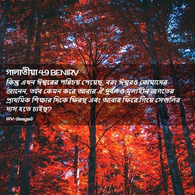 Picture 02 - গালাতীয়া 4:9 BENIRV - কিন্তু এখন - Bible Verse Picture