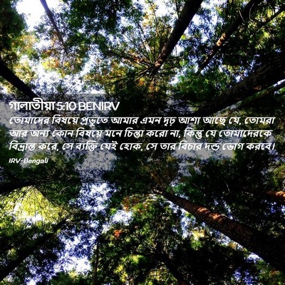 Picture 02 - গালাতীয়া 5:10 BENIRV - তোমাদের বিষয়ে - Bible Verse Picture