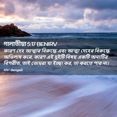 Picture 02 - গালাতীয়া 5:17 BENIRV - কারণ দেহ আত্মার - Bible Verse Picture