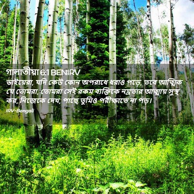Picture 02 - গালাতীয়া 6:1 BENIRV - ভাইয়েরা, যদি কেউ - Bible Verse Picture