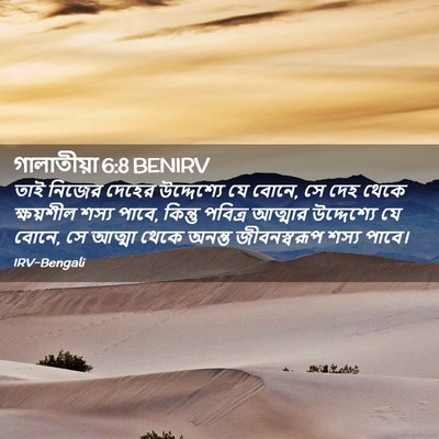 Picture 02 - গালাতীয়া 6:8 BENIRV - তাই নিজের দেহের - Bible Verse Picture