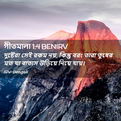 Picture 02 - গীতমালা 1:4 BENIRV - দুষ্টেরা সেই রকম - Bible Verse Picture