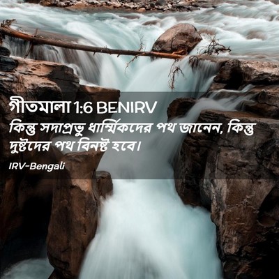 Picture 02 - গীতমালা 1:6 BENIRV - কিন্তু সদাপ্রভুু - Bible Verse Picture