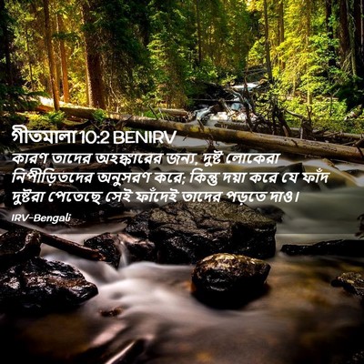 Picture 02 - গীতমালা 10:2 BENIRV - কারণ তাদের - Bible Verse Picture