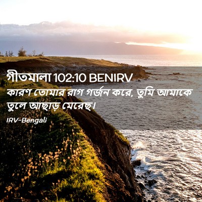 Picture 02 - গীতমালা 102:10 BENIRV - কারণ তোমার রাগ - Bible Verse Picture