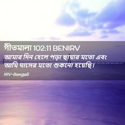 Picture 02 - গীতমালা 102:11 BENIRV - আমার দিন হেলে পড়া - Bible Verse Picture