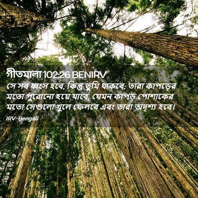 Picture 02 - গীতমালা 102:26 BENIRV - সে সব ধ্বংস হবে, - Bible Verse Picture