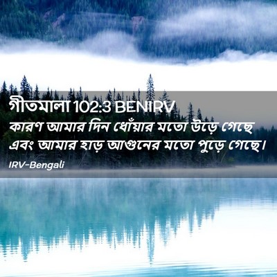 Picture 02 - গীতমালা 102:3 BENIRV - কারণ আমার দিন - Bible Verse Picture