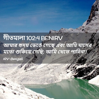 Picture 02 - গীতমালা 102:4 BENIRV - আমার হৃদয় ভেঙে - Bible Verse Picture