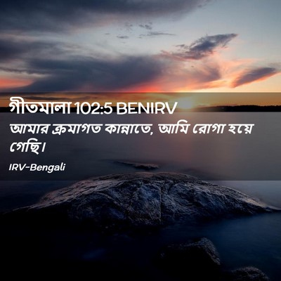 Picture 02 - গীতমালা 102:5 BENIRV - আমার ক্রমাগত - Bible Verse Picture
