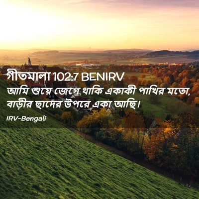 Picture 02 - গীতমালা 102:7 BENIRV - আমি শুয়ে জেগে - Bible Verse Picture