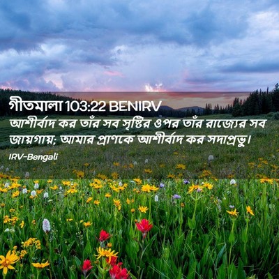 Picture 02 - গীতমালা 103:22 BENIRV - আশীর্বাদ কর তাঁর - Bible Verse Picture