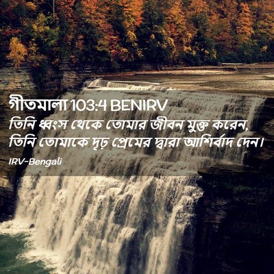Picture 02 - গীতমালা 103:4 BENIRV - তিনি ধ্বংস থেকে - Bible Verse Picture