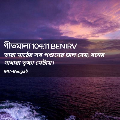 Picture 02 - গীতমালা 104:11 BENIRV - তারা মাঠের সব - Bible Verse Picture