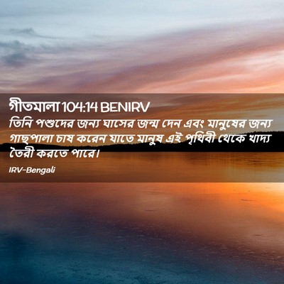 Picture 02 - গীতমালা 104:14 BENIRV - তিনি পশুদের জন্য - Bible Verse Picture