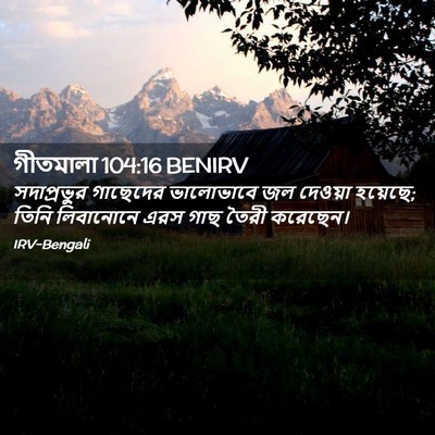 Picture 02 - গীতমালা 104:16 BENIRV - সদাপ্রভুুর - Bible Verse Picture