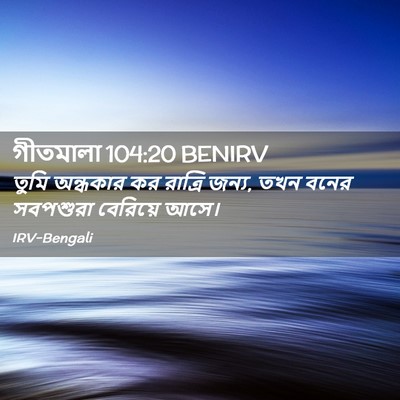 Picture 02 - গীতমালা 104:20 BENIRV - তুমি অন্ধকার কর - Bible Verse Picture