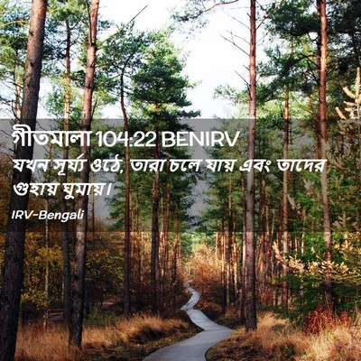 Picture 02 - গীতমালা 104:22 BENIRV - যখন সূর্য্য ওঠে, - Bible Verse Picture