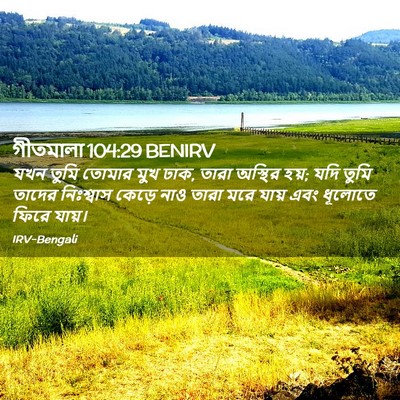 Picture 02 - গীতমালা 104:29 BENIRV - যখন তুমি তোমার মুখ - Bible Verse Picture