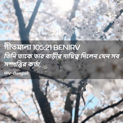 Picture 02 - গীতমালা 105:21 BENIRV - তিনি তাকে তার - Bible Verse Picture