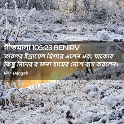 Picture 02 - গীতমালা 105:23 BENIRV - তারপর ইস্রায়েল - Bible Verse Picture