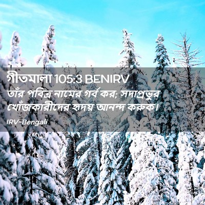 Picture 02 - গীতমালা 105:3 BENIRV - তাঁর পবিত্র নামের - Bible Verse Picture