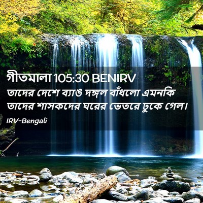 Picture 02 - গীতমালা 105:30 BENIRV - তাদের দেশে ব্যাঙ - Bible Verse Picture