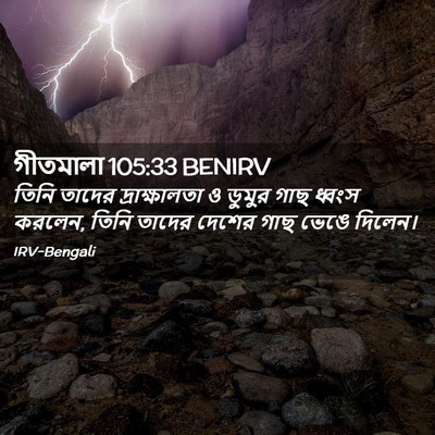 Picture 02 - গীতমালা 105:33 BENIRV - তিনি তাদের - Bible Verse Picture