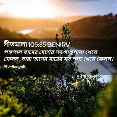 Picture 02 - গীতমালা 105:35 BENIRV - পঙ্গপাল তাদের - Bible Verse Picture