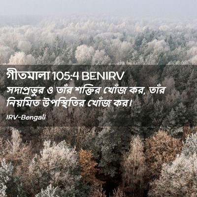 Picture 02 - গীতমালা 105:4 BENIRV - সদাপ্রভুুর ও তাঁর - Bible Verse Picture
