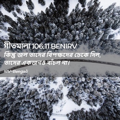 Picture 02 - গীতমালা 106:11 BENIRV - কিন্তু জল তাদের - Bible Verse Picture