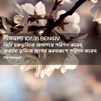 Picture 02 - গীতমালা 107:35 BENIRV - তিনি মরুভূমিকে - Bible Verse Picture