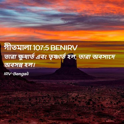 Picture 02 - গীতমালা 107:5 BENIRV - তারা ক্ষুধার্ত - Bible Verse Picture