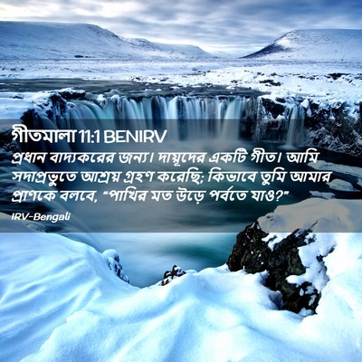 Picture 02 - গীতমালা 11:1 BENIRV - প্রধান বাদ্যকরের - Bible Verse Picture