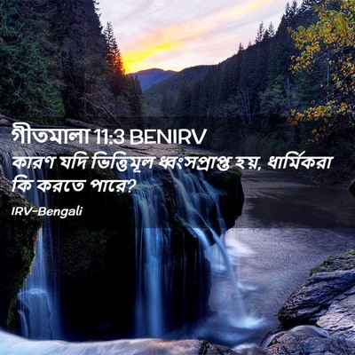 Picture 02 - গীতমালা 11:3 BENIRV - কারণ যদি - Bible Verse Picture
