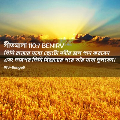 Picture 02 - গীতমালা 110:7 BENIRV - তিনি রাস্তার - Bible Verse Picture