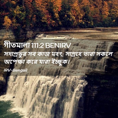 Picture 02 - গীতমালা 111:2 BENIRV - সদাপ্রভুুর সব কাজ - Bible Verse Picture