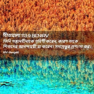 Picture 02 - গীতমালা 113:9 BENIRV - তিনি সন্তানহীনাকে - Bible Verse Picture