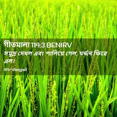 Picture 02 - গীতমালা 114:3 BENIRV - সমুদ্র দেখল এবং - Bible Verse Picture