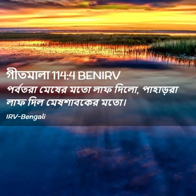 Picture 02 - গীতমালা 114:4 BENIRV - পর্বতরা মেষের মতো - Bible Verse Picture