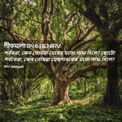 Picture 02 - গীতমালা 114:6 BENIRV - পর্বতরা, কেন তোমরা - Bible Verse Picture